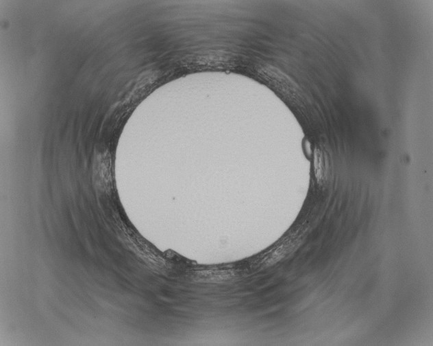 X0000077281107200611171555