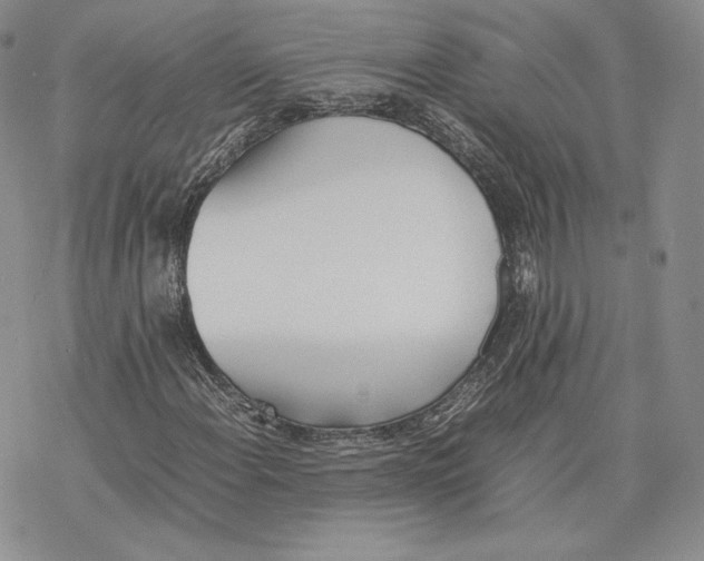 X0000077281108200611171555