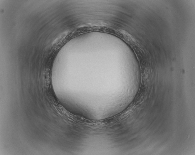 X0000077281110200611171555