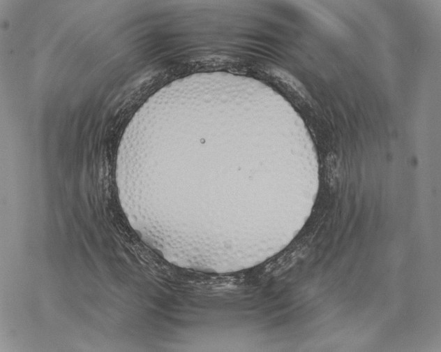 X0000077281111200611171555