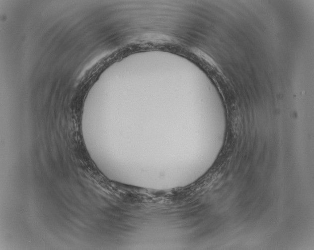 X0000077281112200611171555