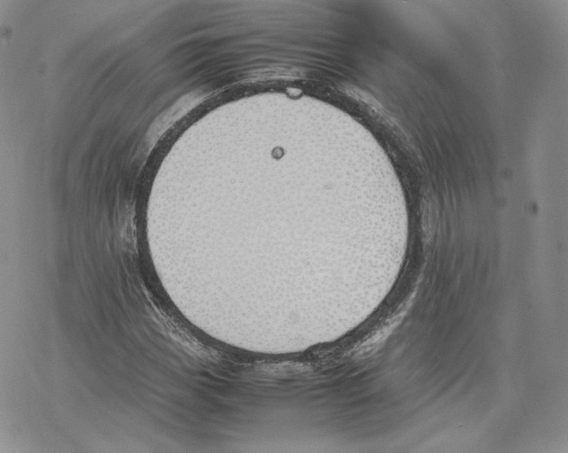 X0000077281113200611171555