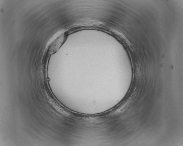 X0000077281114200611171555