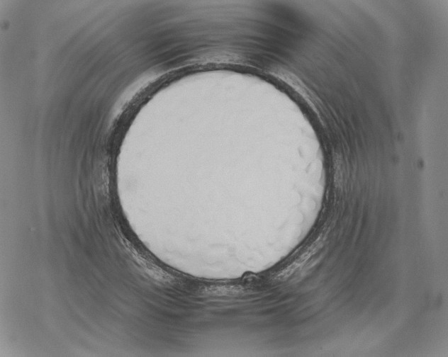 X0000077281115200611171555