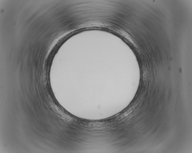 X0000077281116200611171555