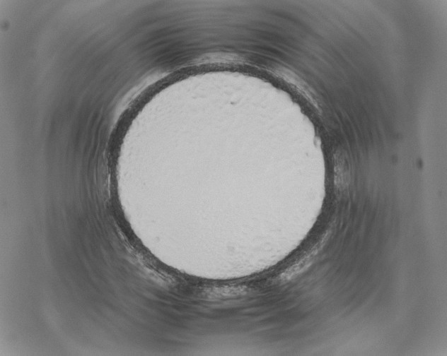 X0000077281117200611171555