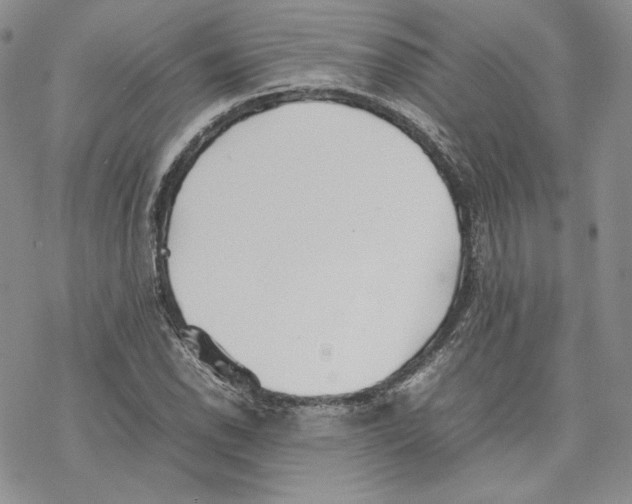 X0000077281118200611171555