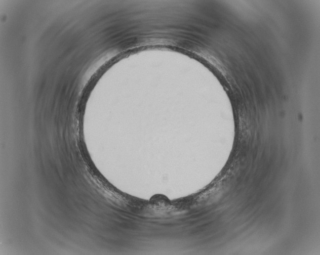 X0000077281119200611171555