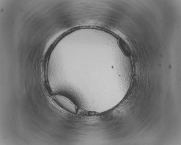 X0000077281120200611171555