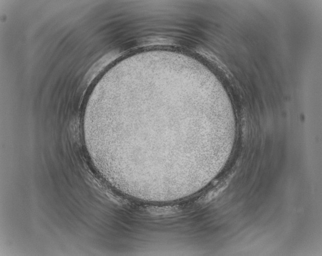 X0000077281121200611171555