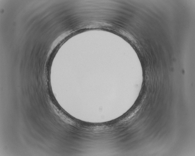 X0000077281122200611171555