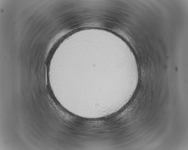 X0000077281123200611171555