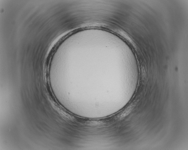 X0000077281124200611171555