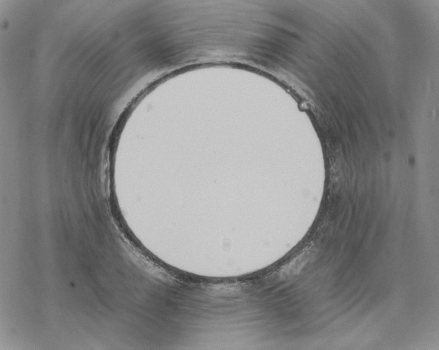 X0000077281126200611171555