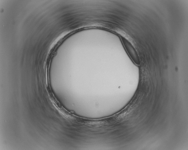 X0000077281127200611171555