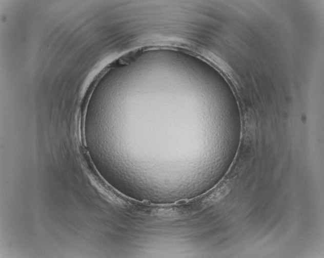 X0000077281128200611171555