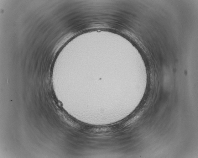 X0000077281129200611171555