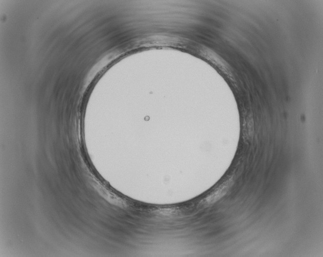 X0000077281130200611171555