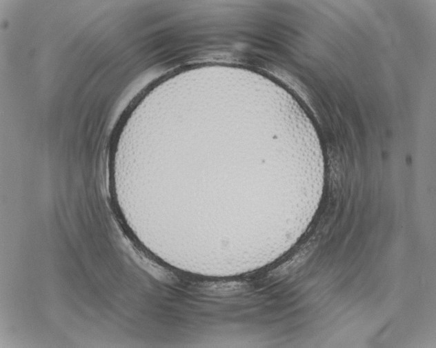 X0000077281131200611171555