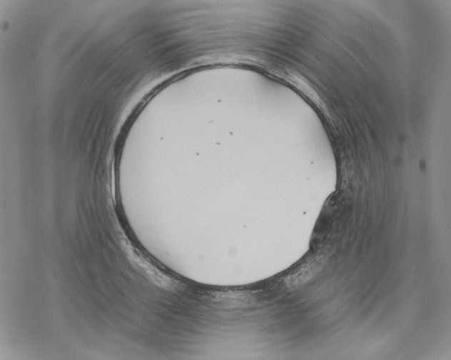 X0000077281132200611171555