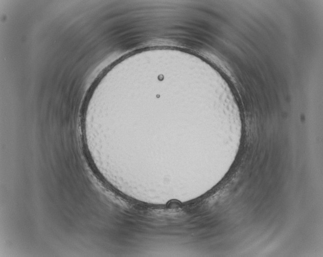 X0000077281133200611171555