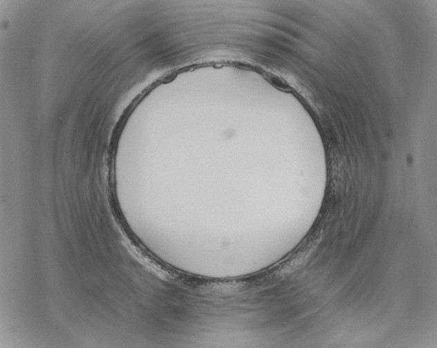 X0000077281134200611171555