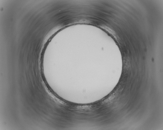 X0000077281135200611171555