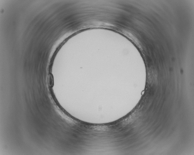 X0000077281136200611171555