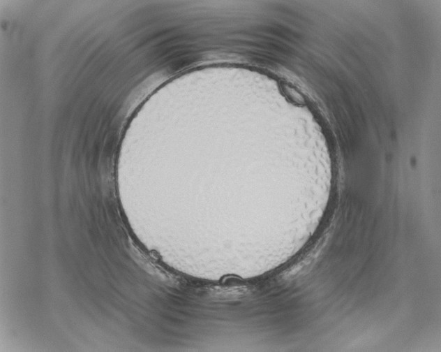 X0000077281137200611171555