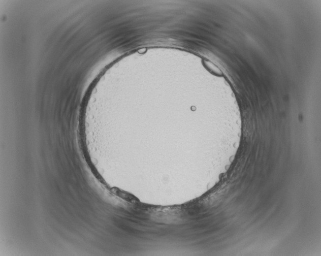 X0000077281139200611171555