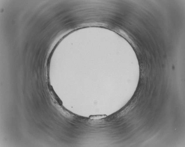 X0000077281140200611171555