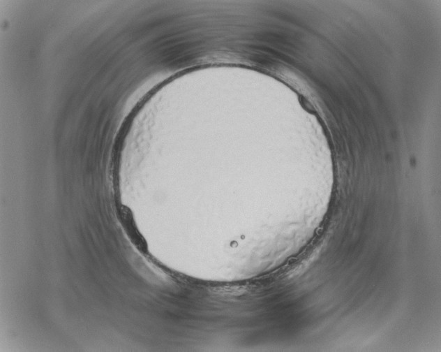 X0000077281141200611171555