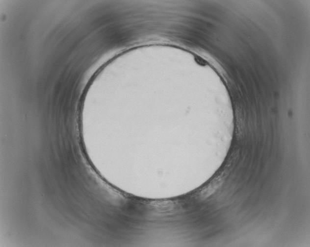 X0000077281142200611171555