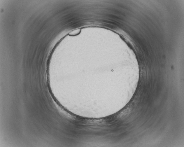 X0000077281143200611171555