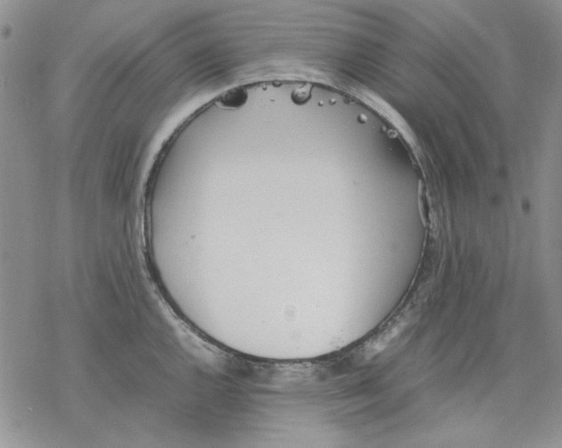 X0000077281144200611171556