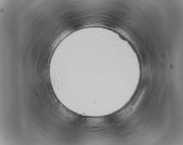 X0000077281145200611171556