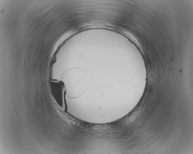 X0000077281146200611171556