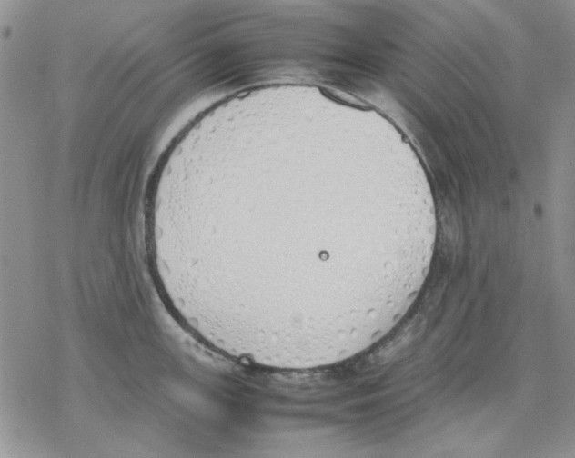 X0000077281147200611171556