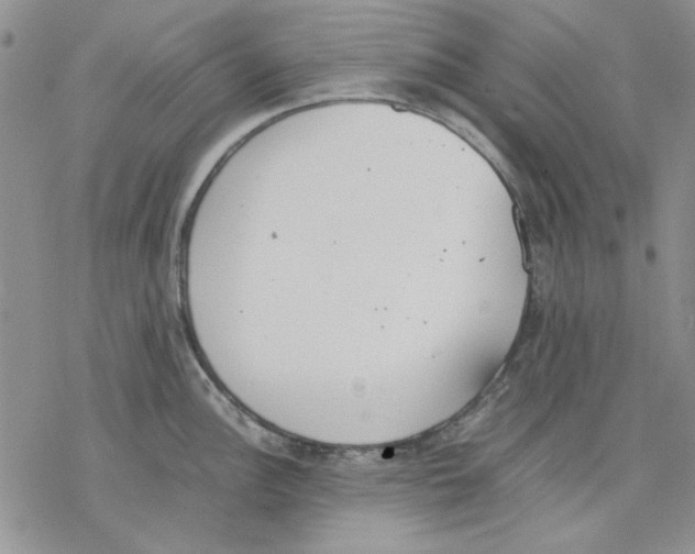 X0000077281148200611171556