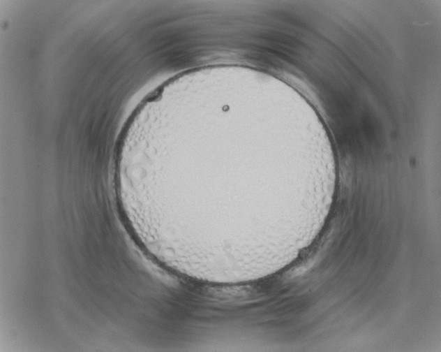 X0000077281149200611171556