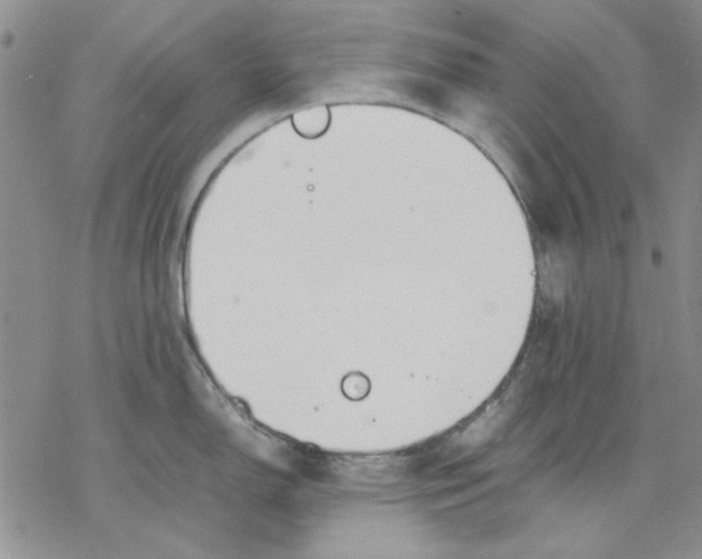 X0000077281150200611171556