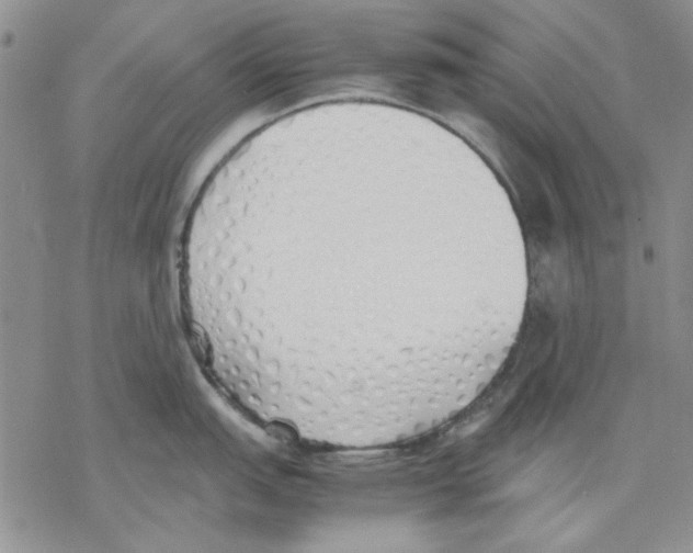 X0000077281151200611171556