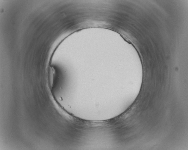 X0000077281152200611171556