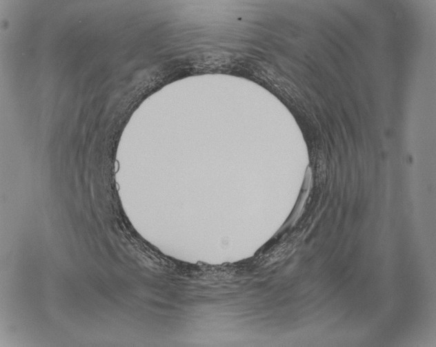 X0000077281153200611171555