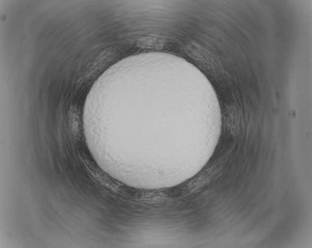 X0000077281154200611171555