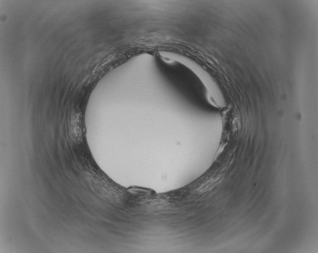 X0000077281156200611171555