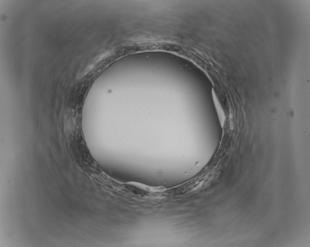 X0000077281157200611171555