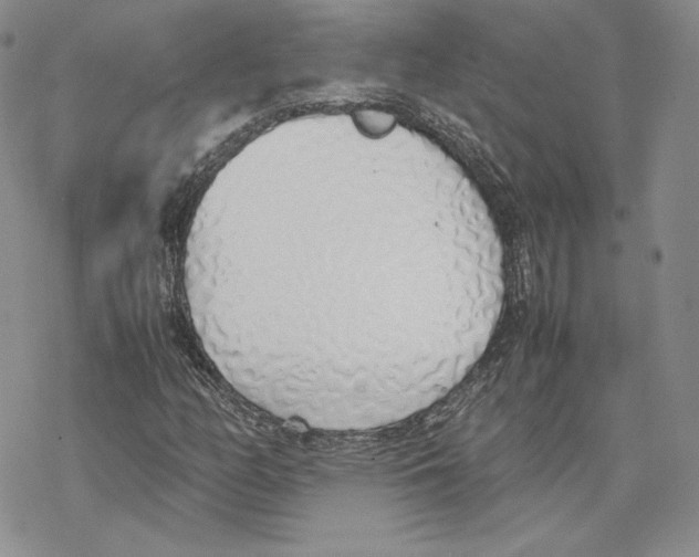 X0000077281158200611171555