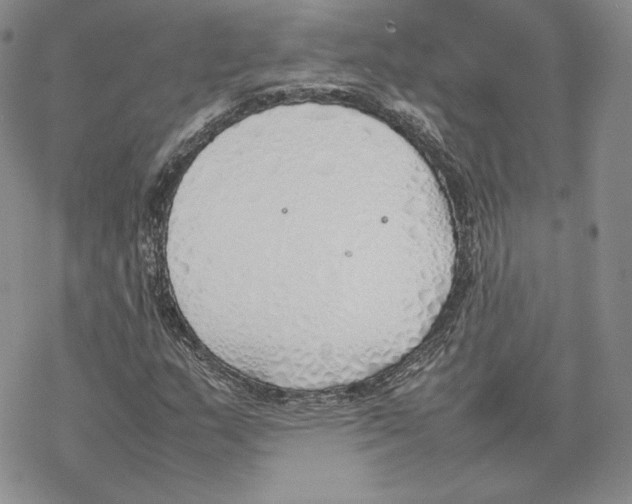 X0000077281159200611171555