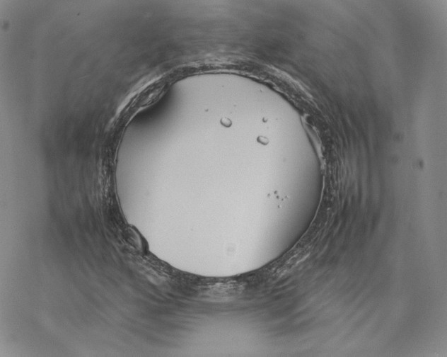 X0000077281160200611171555